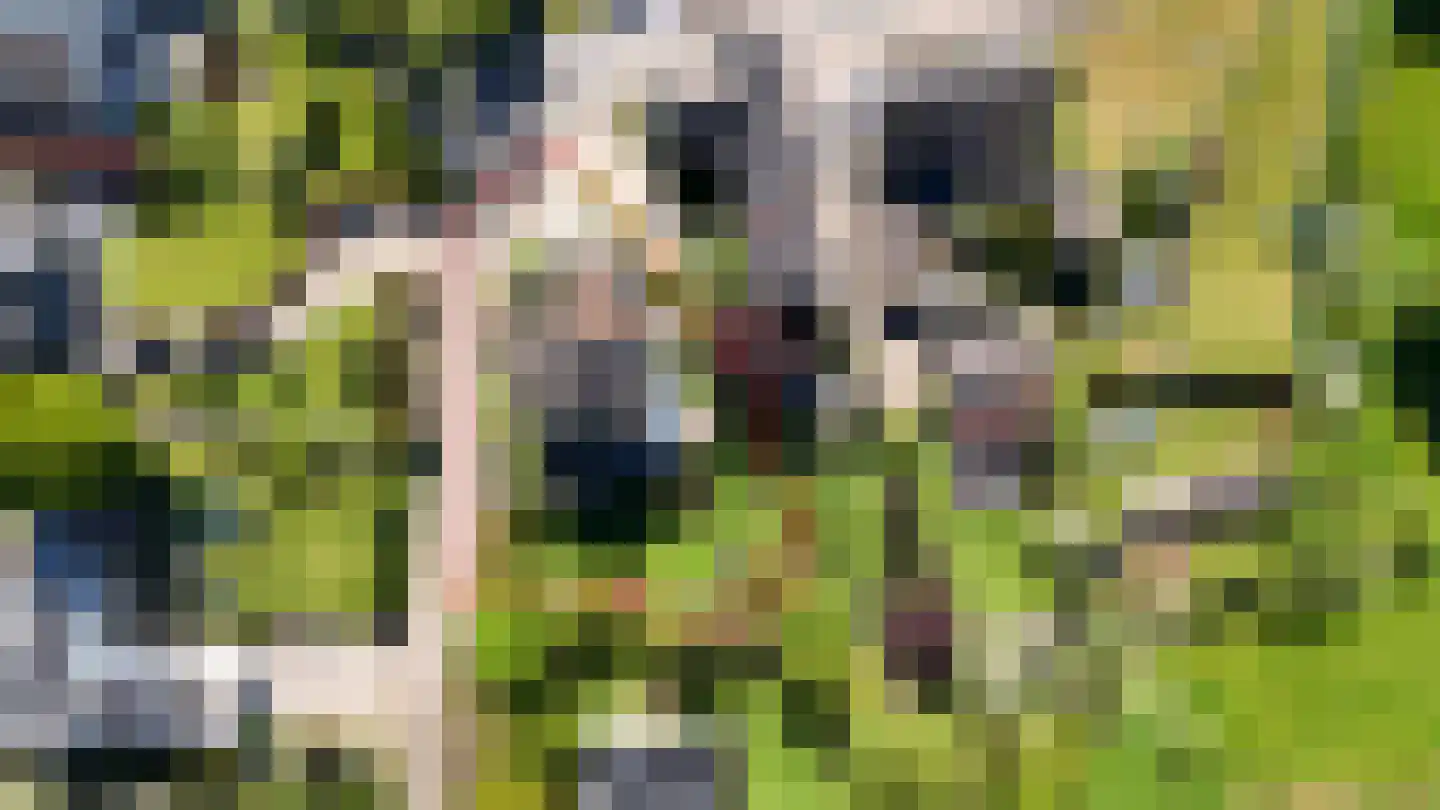Rarenderstraat 39 Vaals thumbnail 39