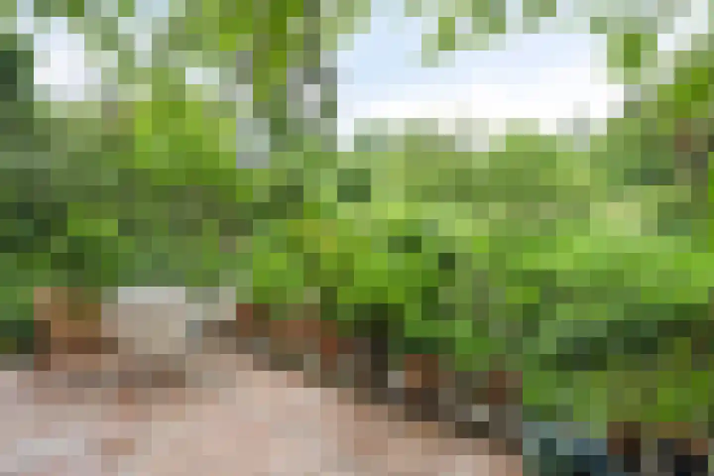 Rarenderstraat 73 Vaals thumbnail 47