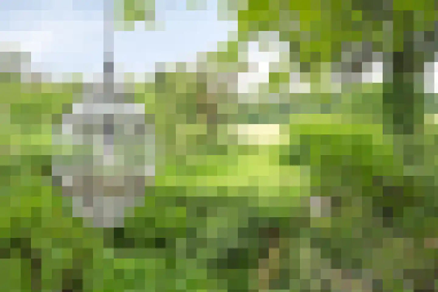 Rarenderstraat 73 Vaals thumbnail 48