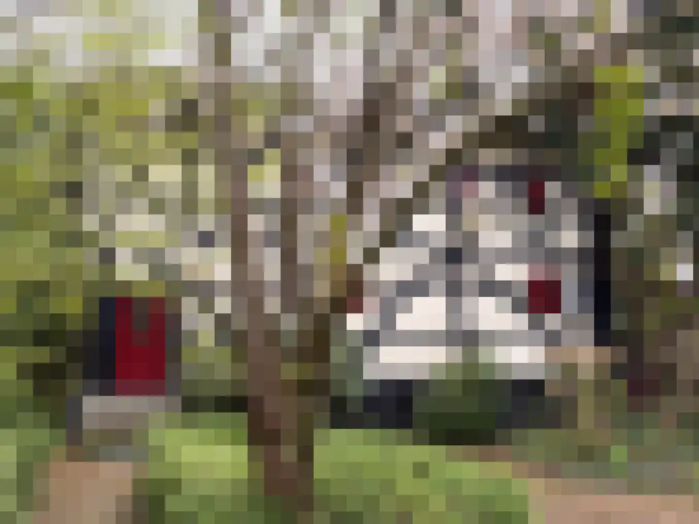 Rarenderstraat 73 Vaals thumbnail 51