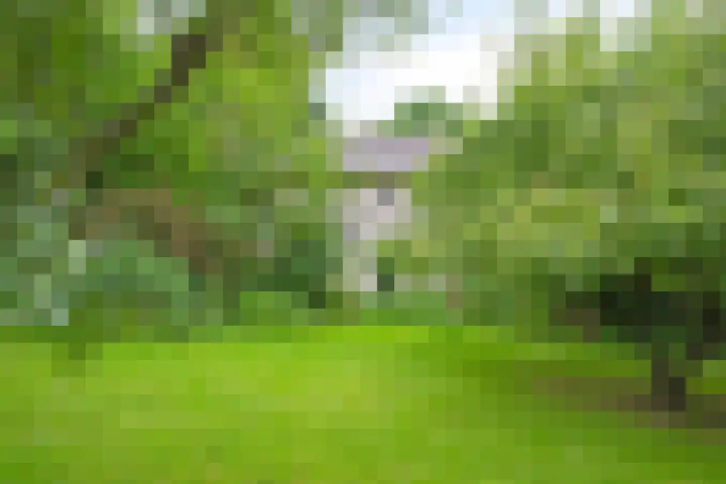 Rarenderstraat 73 Vaals thumbnail 55
