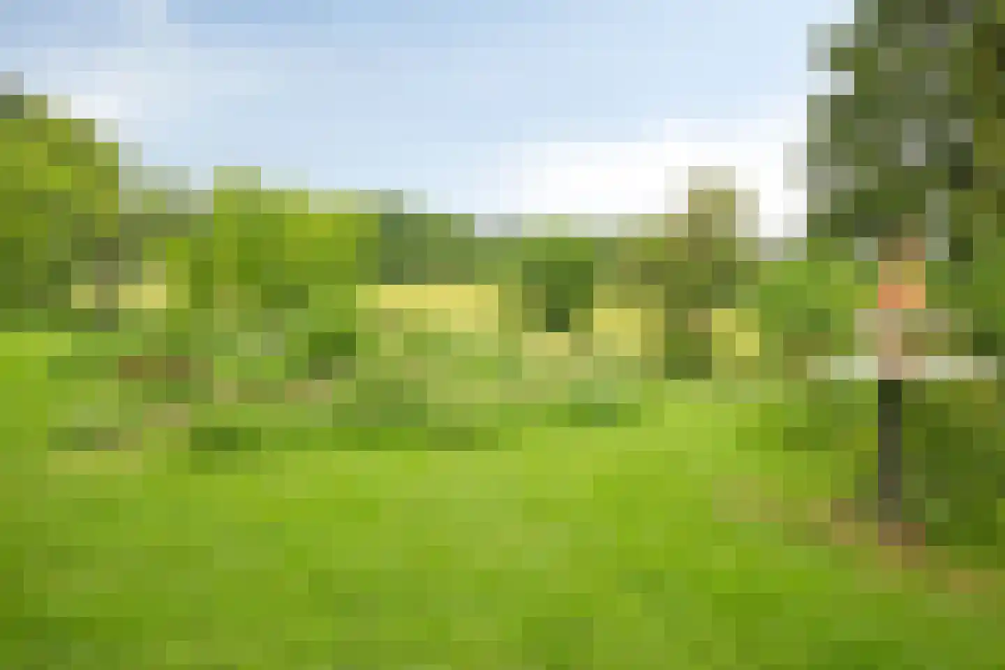 Rarenderstraat 73 Vaals thumbnail 60