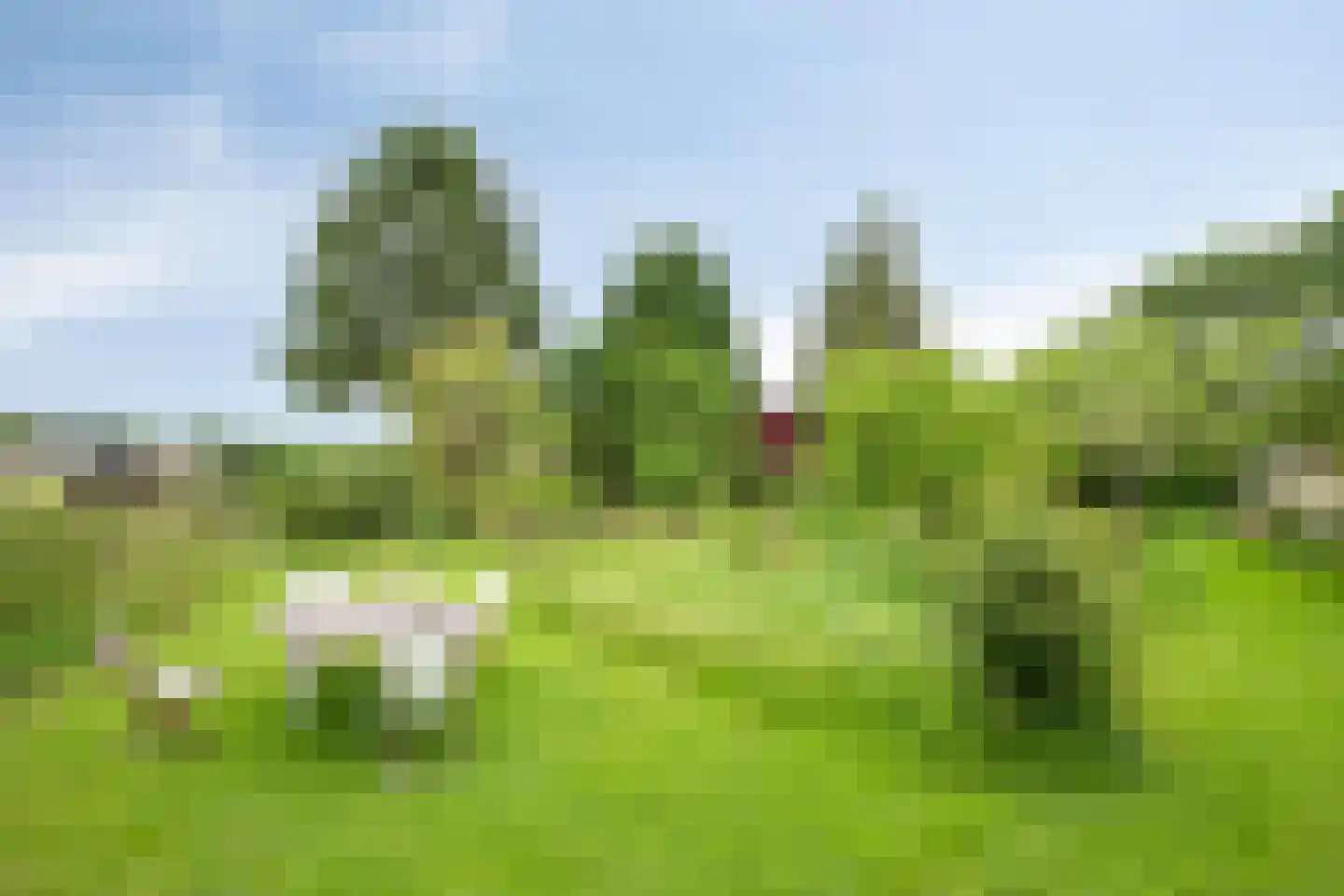 Rarenderstraat 73 Vaals thumbnail 61