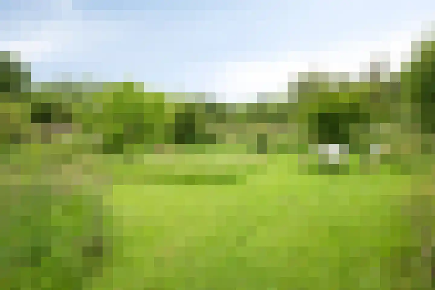 Rarenderstraat 73 Vaals thumbnail 62