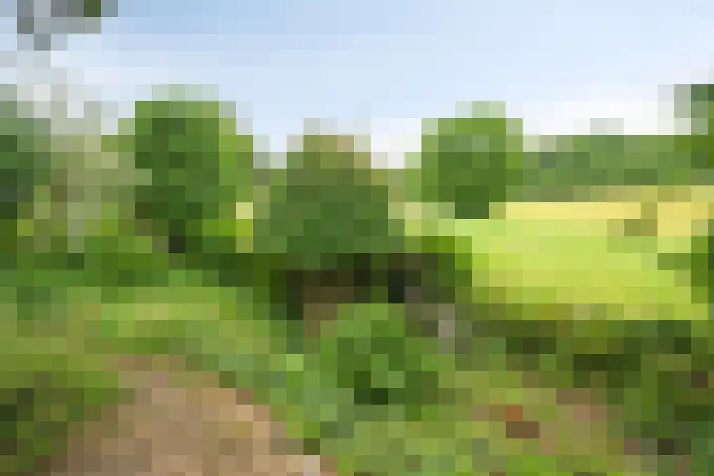 Rarenderstraat 73 Vaals thumbnail 66