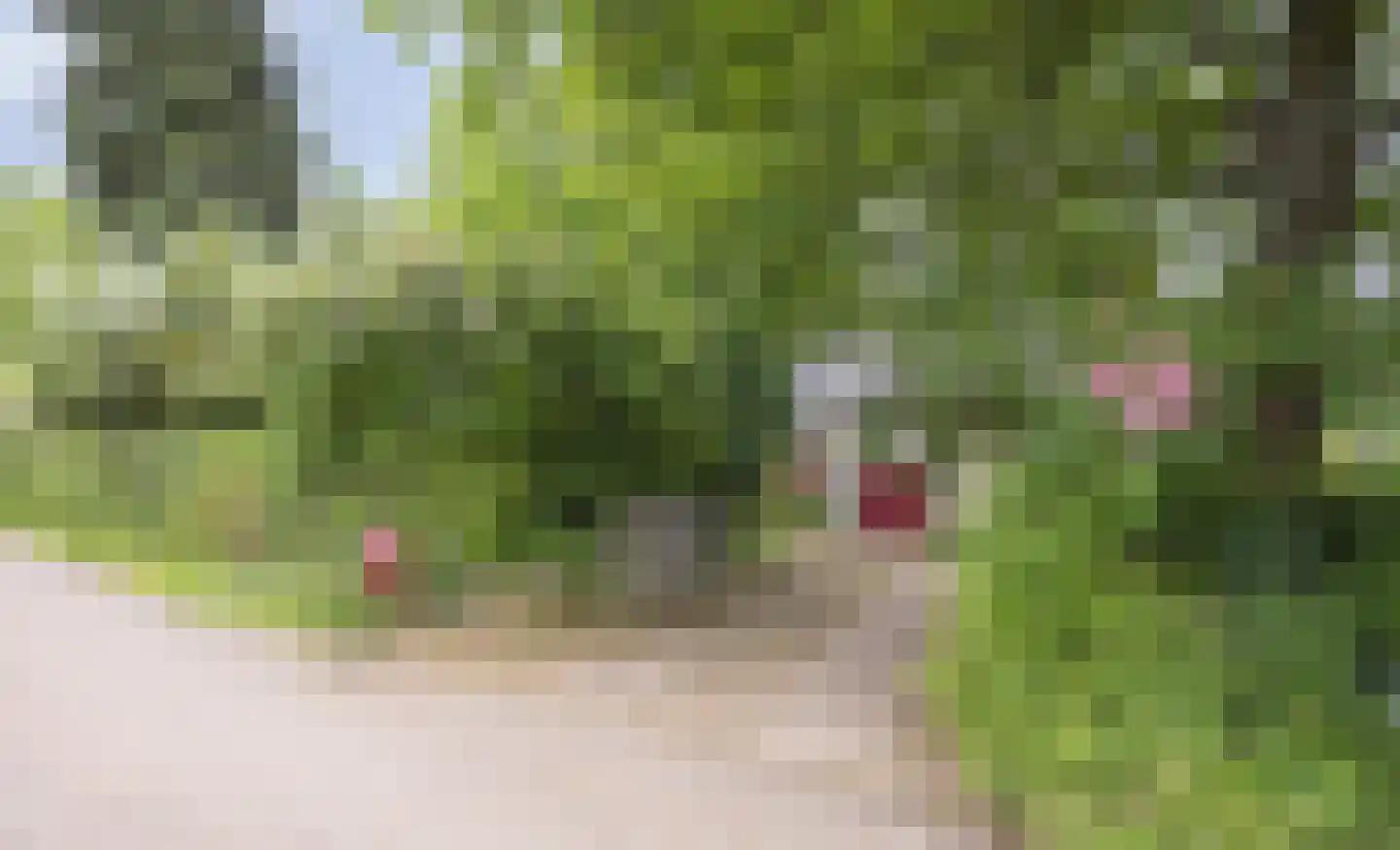 Rarenderstraat 73 Vaals thumbnail 69