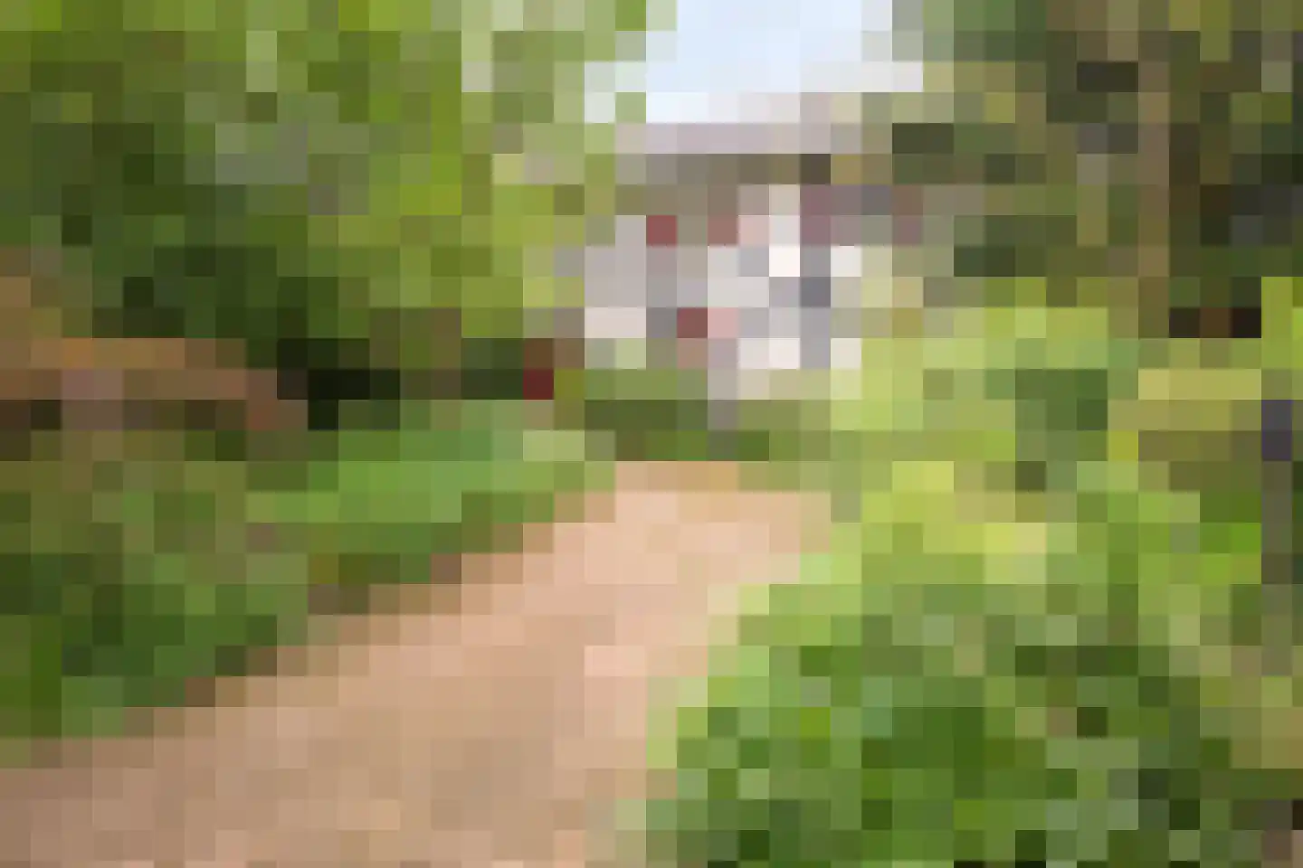 Rarenderstraat 73 Vaals thumbnail 70
