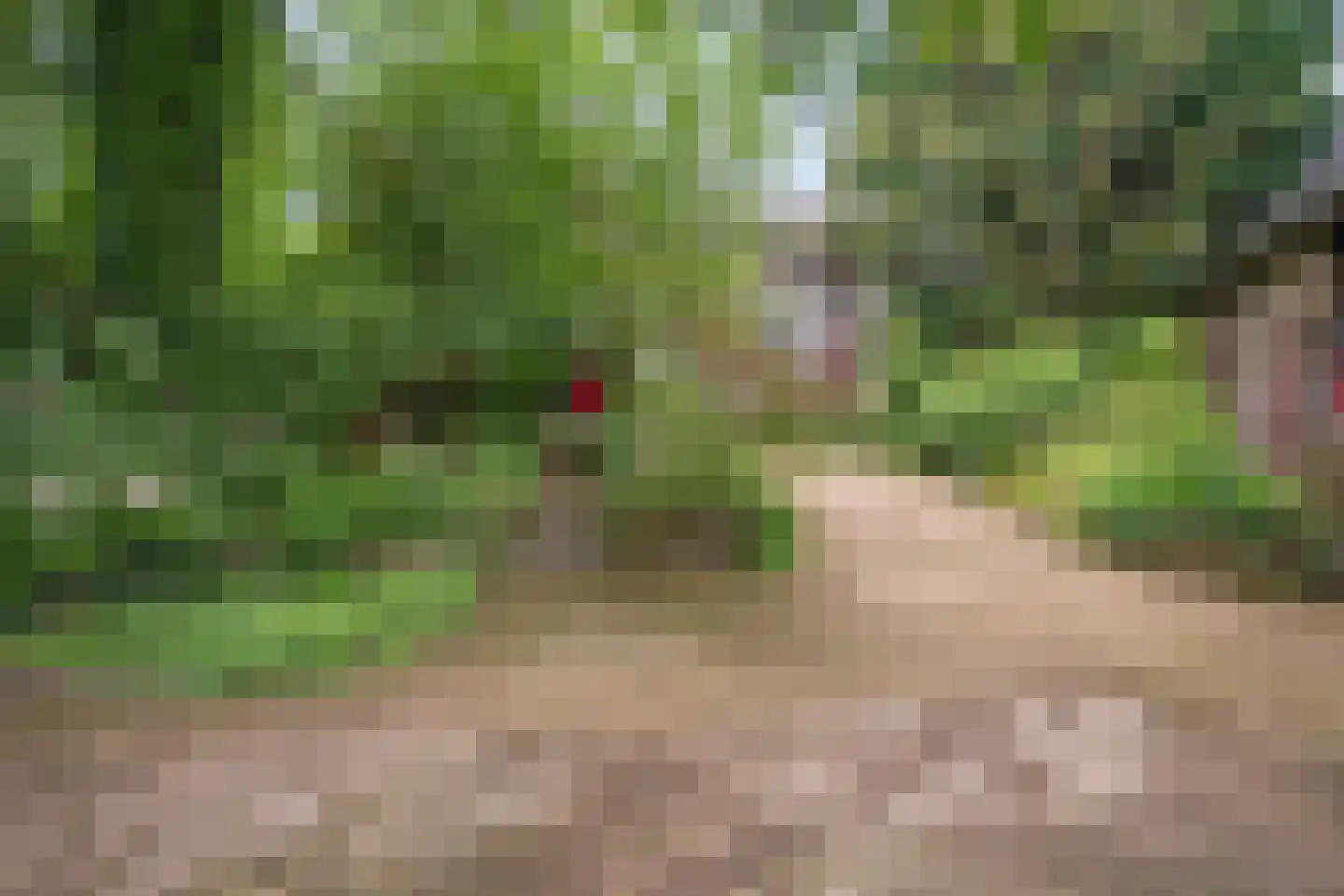 Rarenderstraat 73 Vaals thumbnail 71