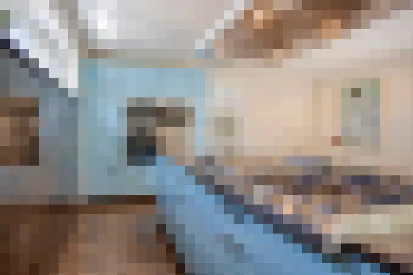 Rasopark 22 Hoeven thumbnail 14