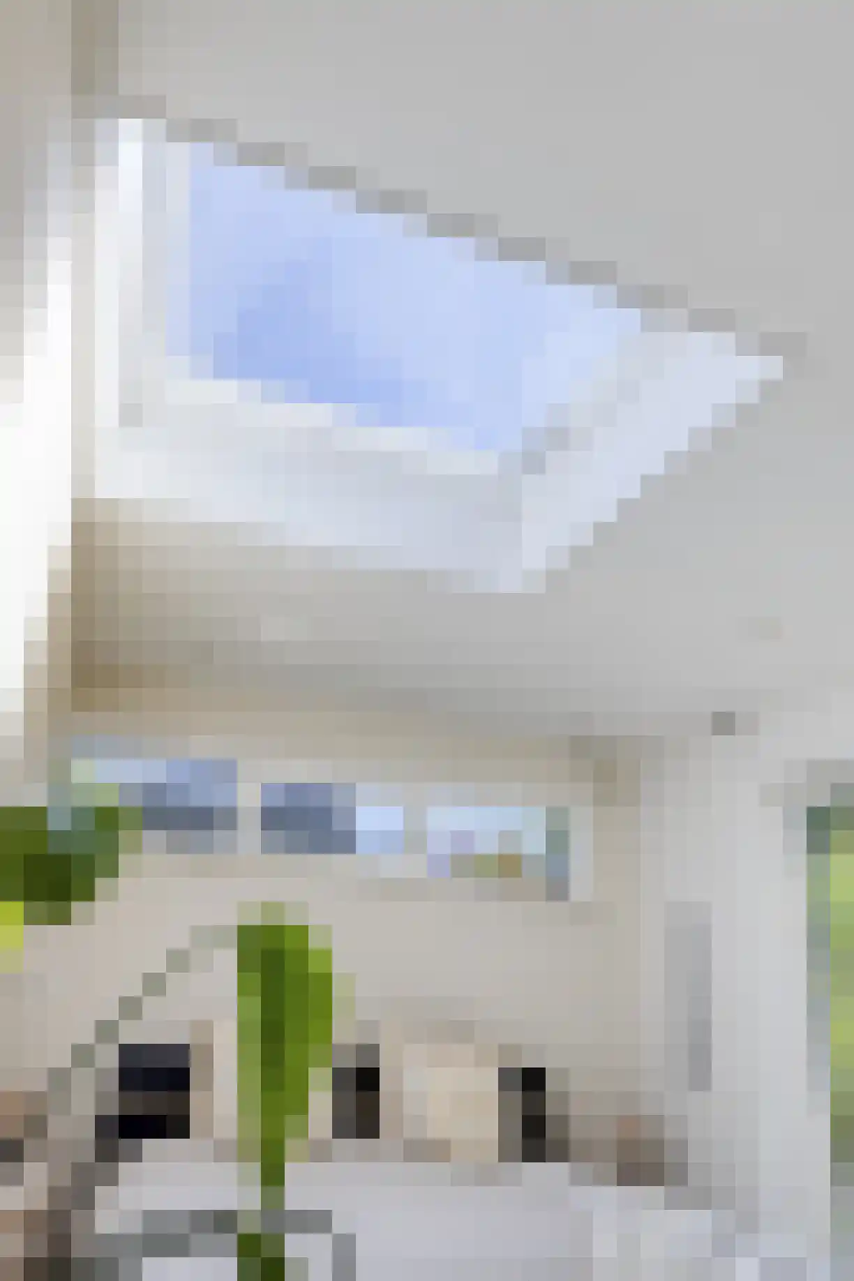 Rasopark 22 Hoeven thumbnail 20