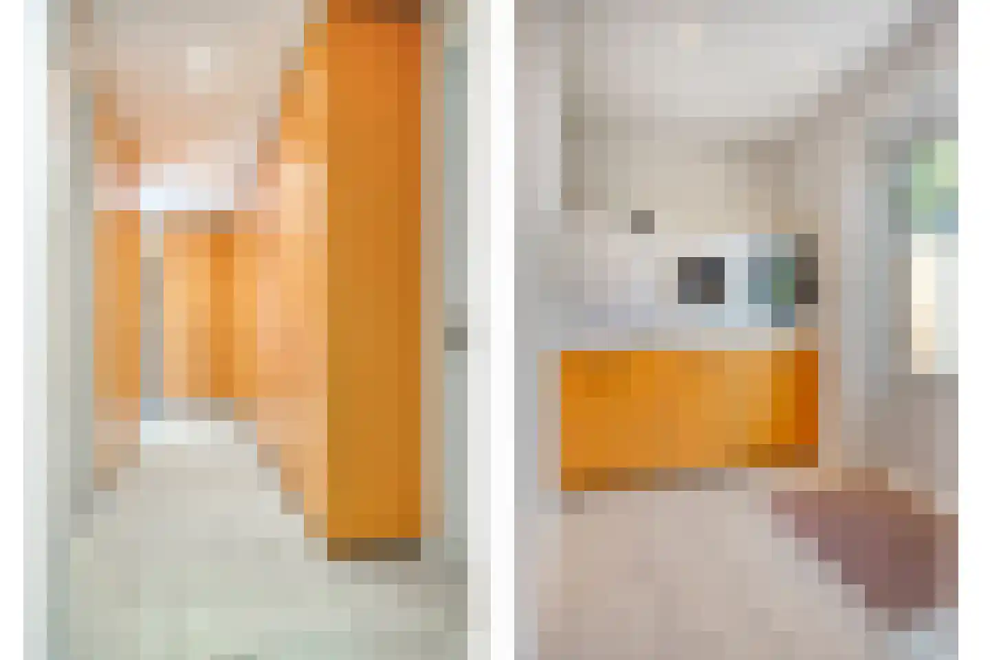 Rasopark 22 Hoeven thumbnail 22