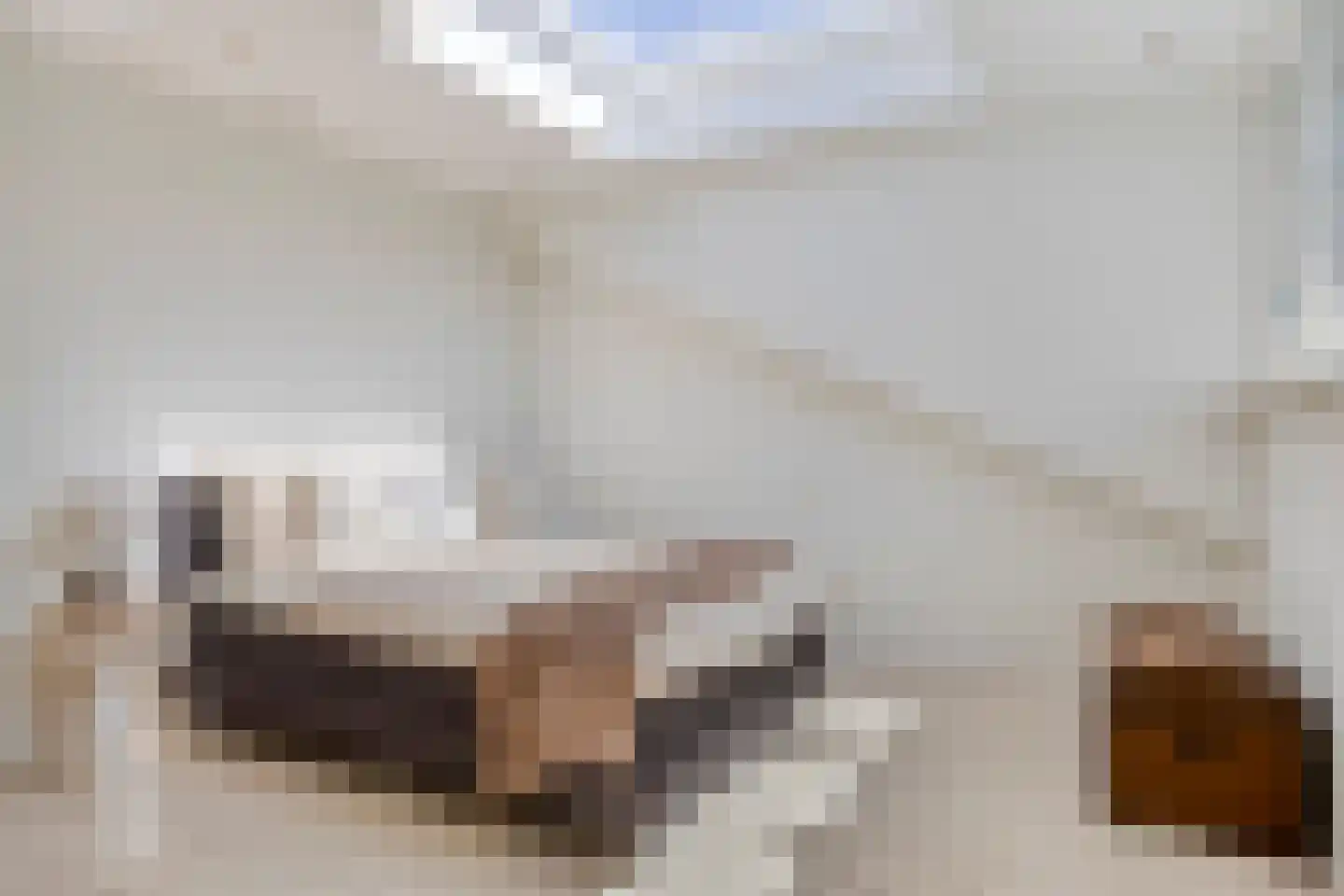 Rasopark 22 Hoeven thumbnail 32