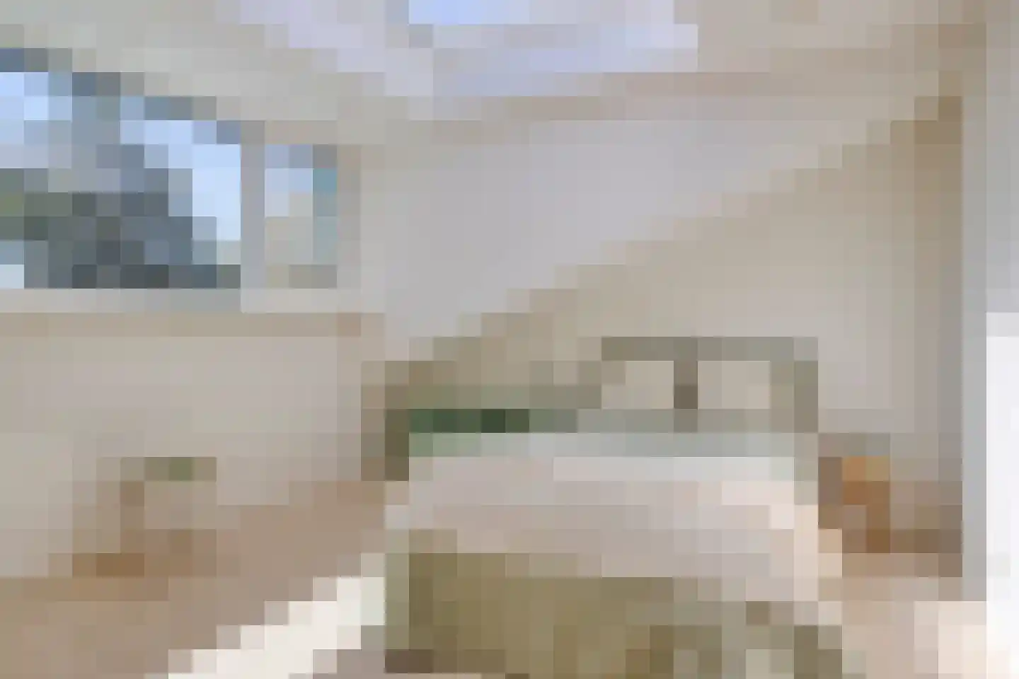 Rasopark 22 Hoeven thumbnail 34