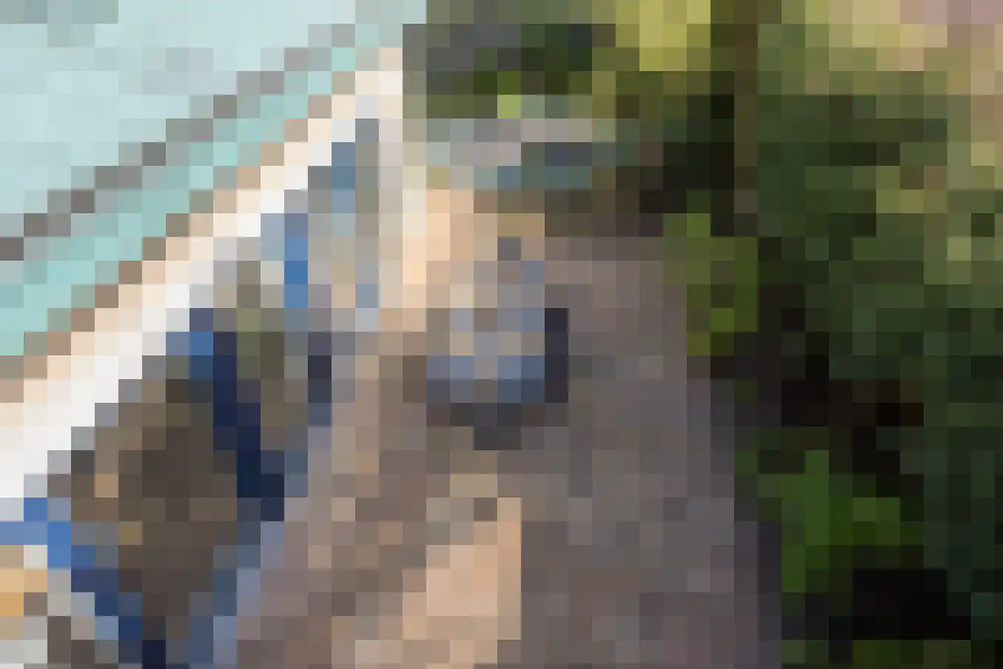 Rasopark 22 Hoeven thumbnail 41