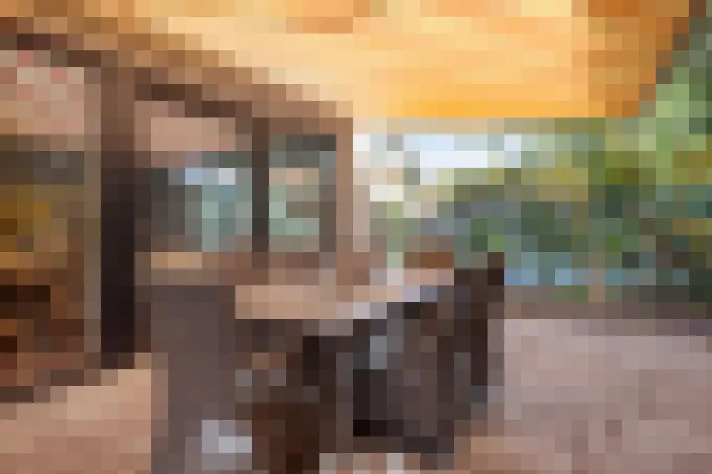 Rasopark 22 Hoeven thumbnail 42