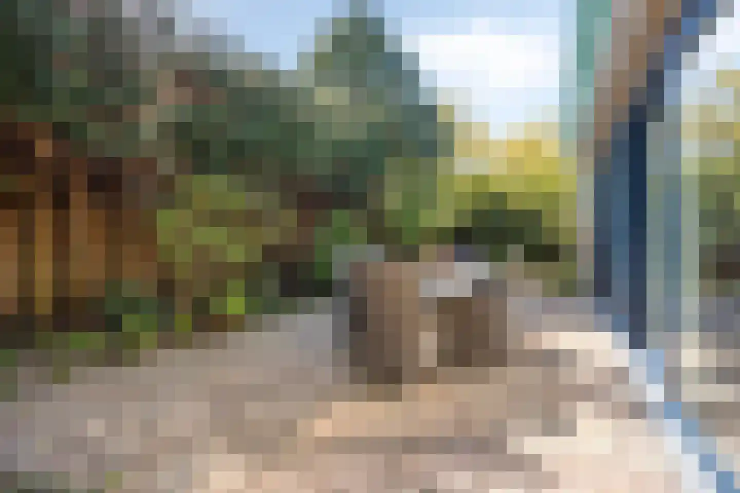 Rasopark 22 Hoeven thumbnail 43