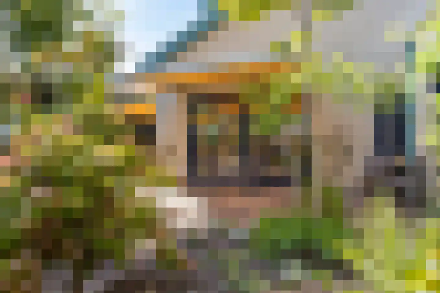 Rasopark 22 Hoeven thumbnail 44