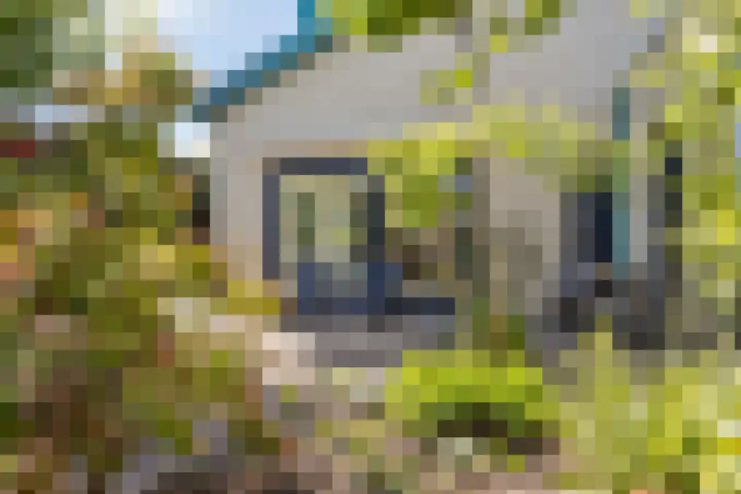 Rasopark 22 Hoeven thumbnail 46