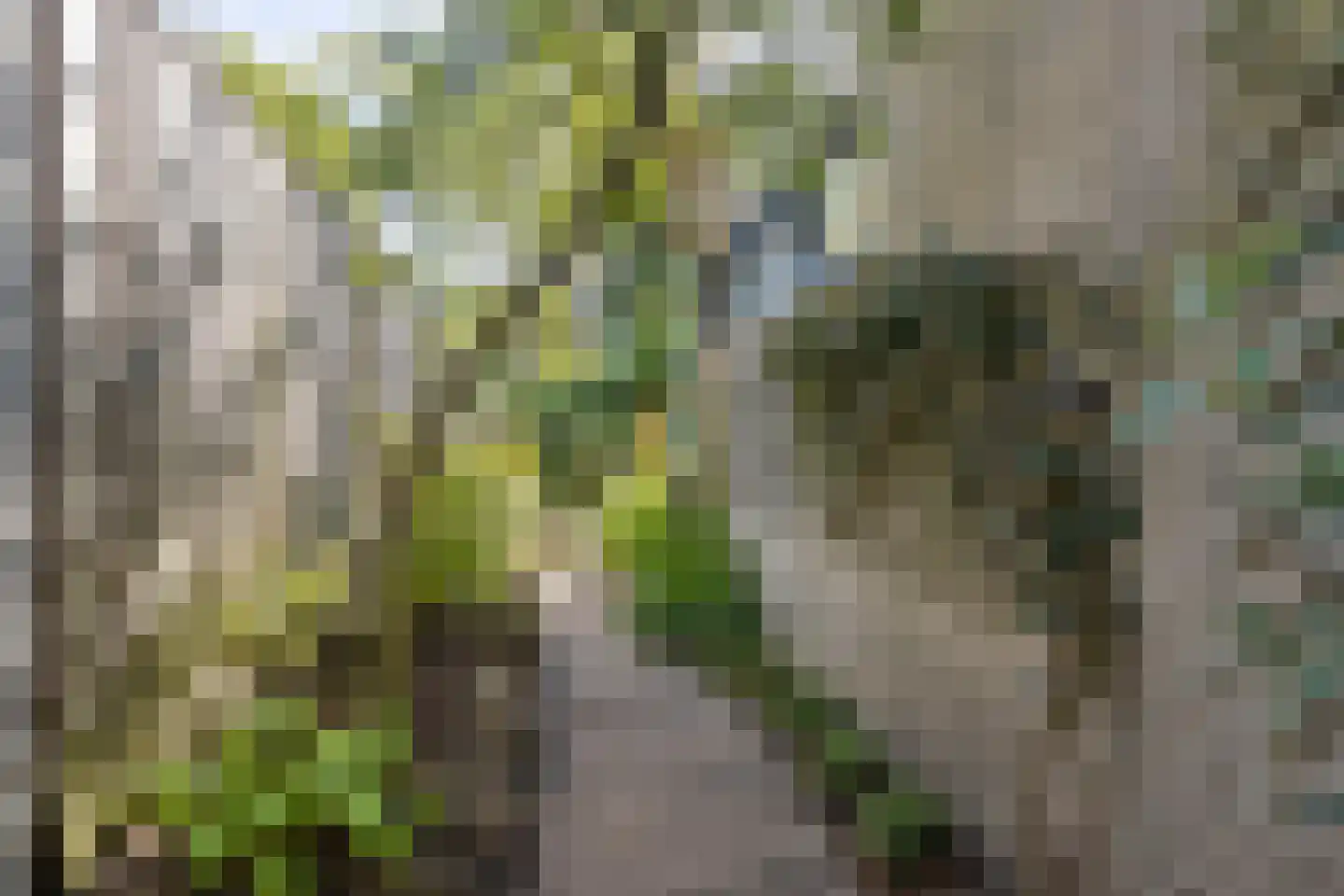 Rasopark 22 Hoeven thumbnail 48