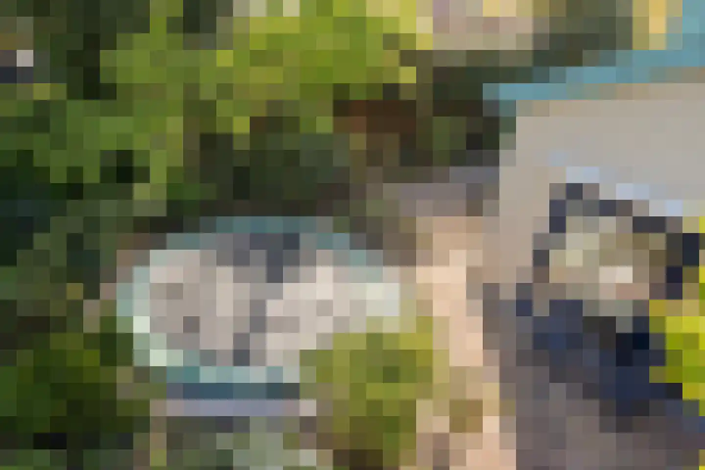 Rasopark 22 Hoeven thumbnail 49