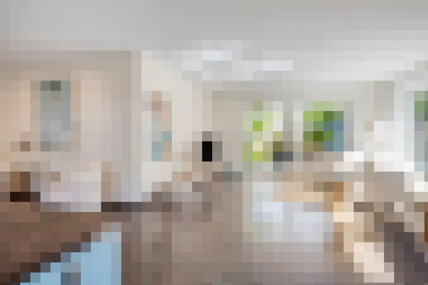 Rasopark 22 Hoeven thumbnail 8