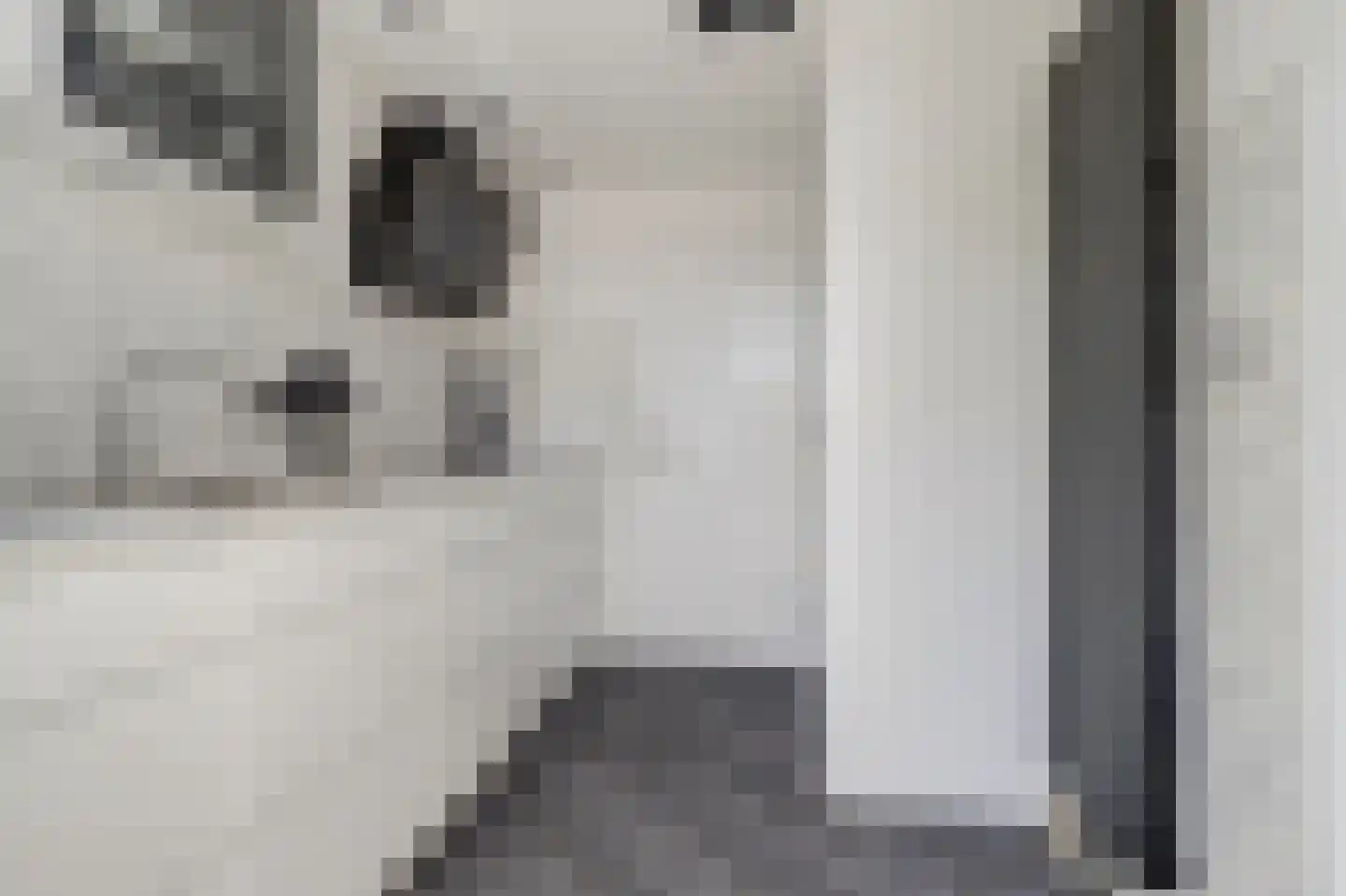 Rassegemstraat 27 Terheijden thumbnail 10