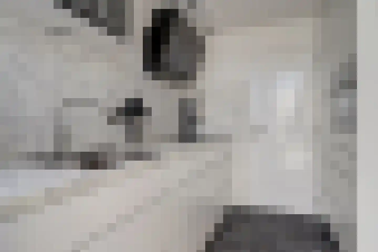 Rassegemstraat 27 Terheijden thumbnail 11