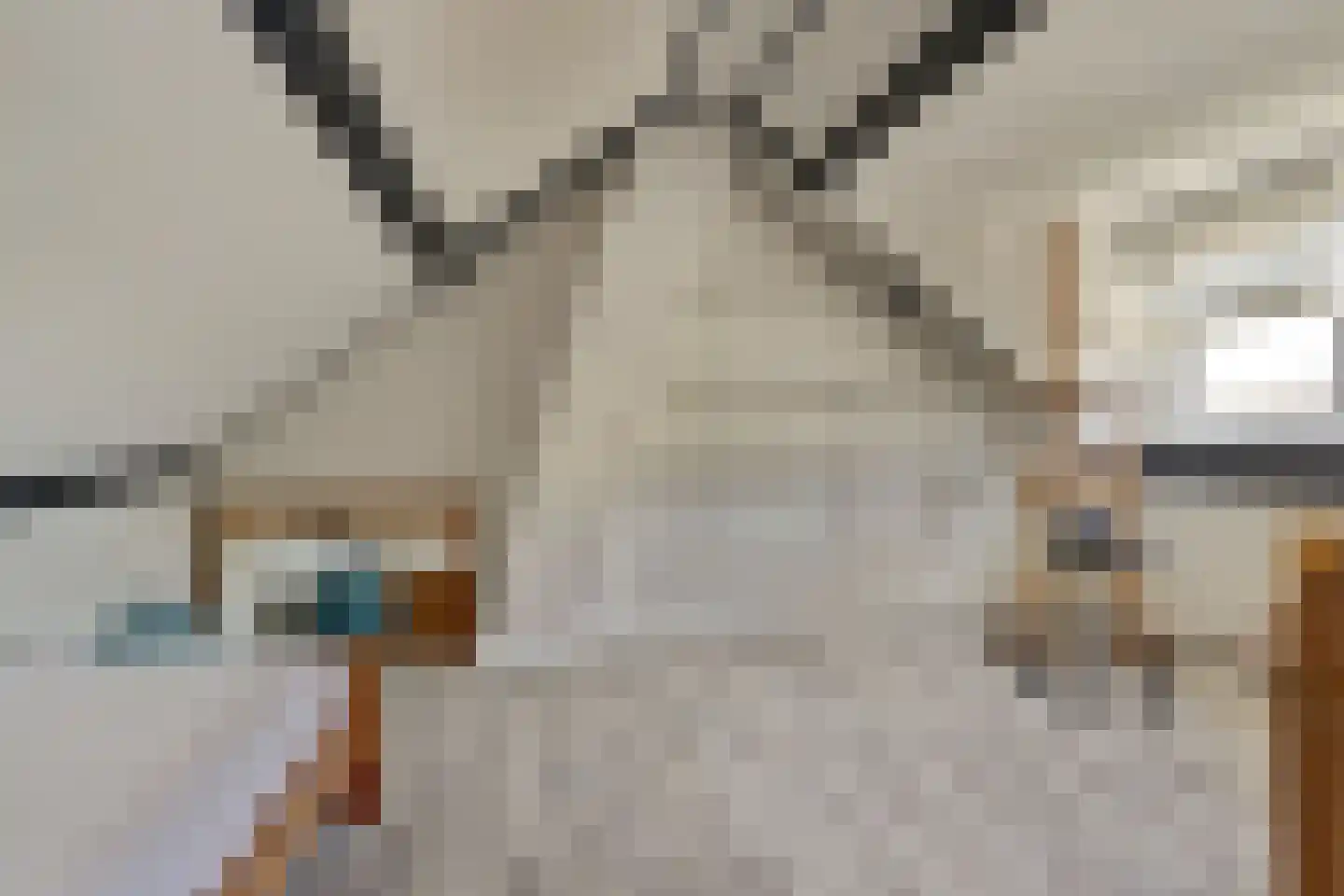 Rassegemstraat 27 Terheijden thumbnail 23