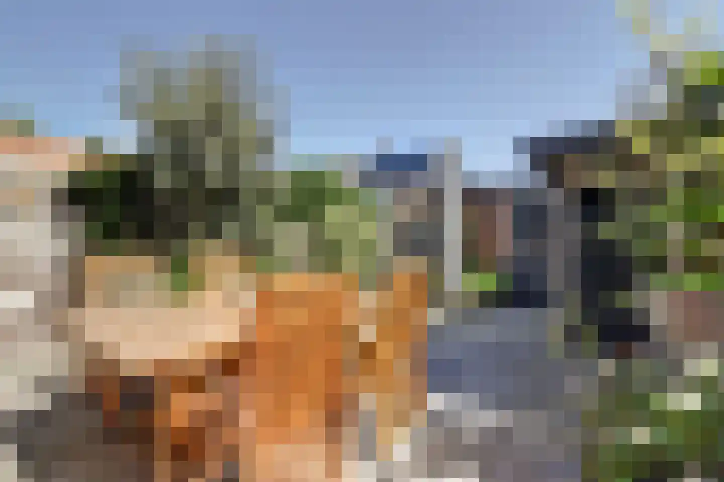 Rassegemstraat 27 Terheijden thumbnail 25
