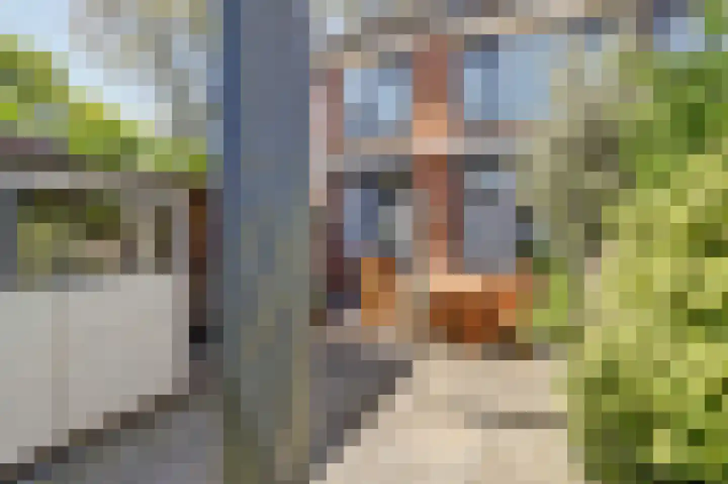 Rassegemstraat 27 Terheijden thumbnail 28