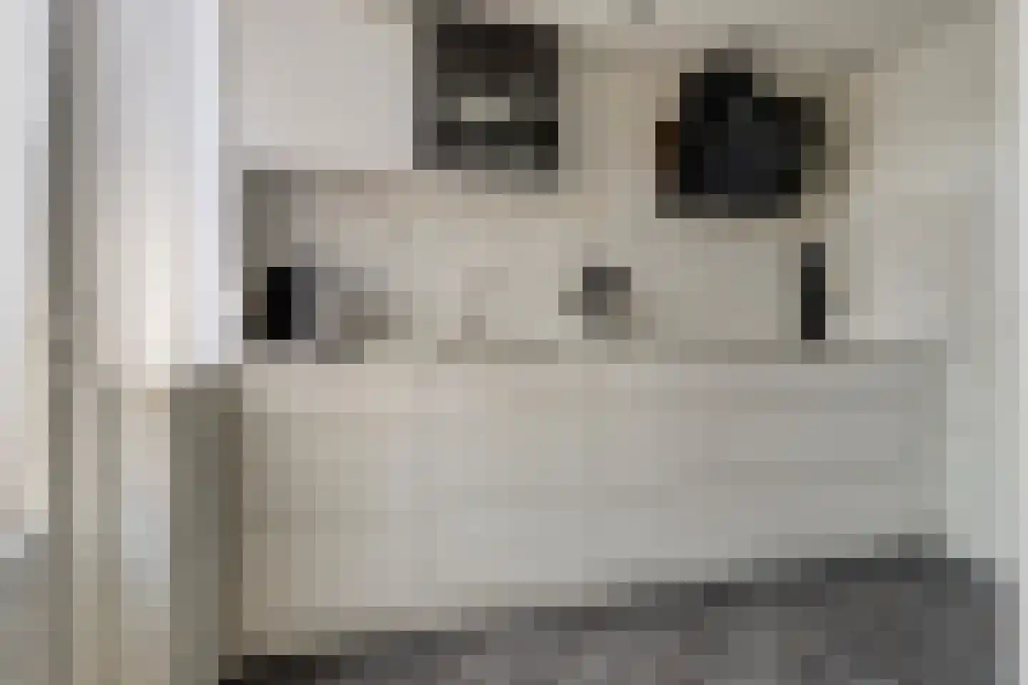 Rassegemstraat 27 Terheijden thumbnail 9