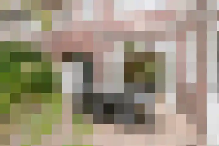 Rataplanstraat 24 Almere thumbnail 29