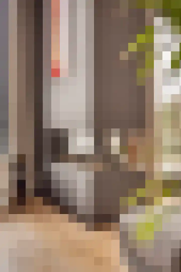 Rataplanstraat 5 Almere thumbnail 19