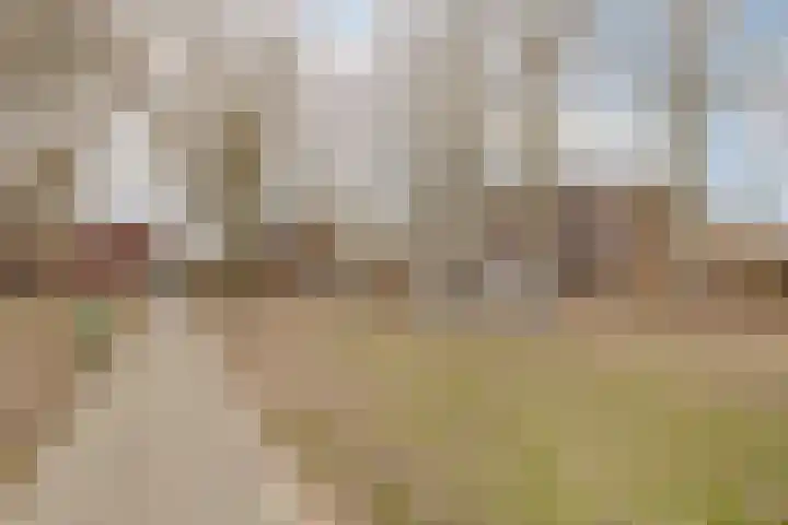 Rataplanstraat 5 Almere thumbnail 51