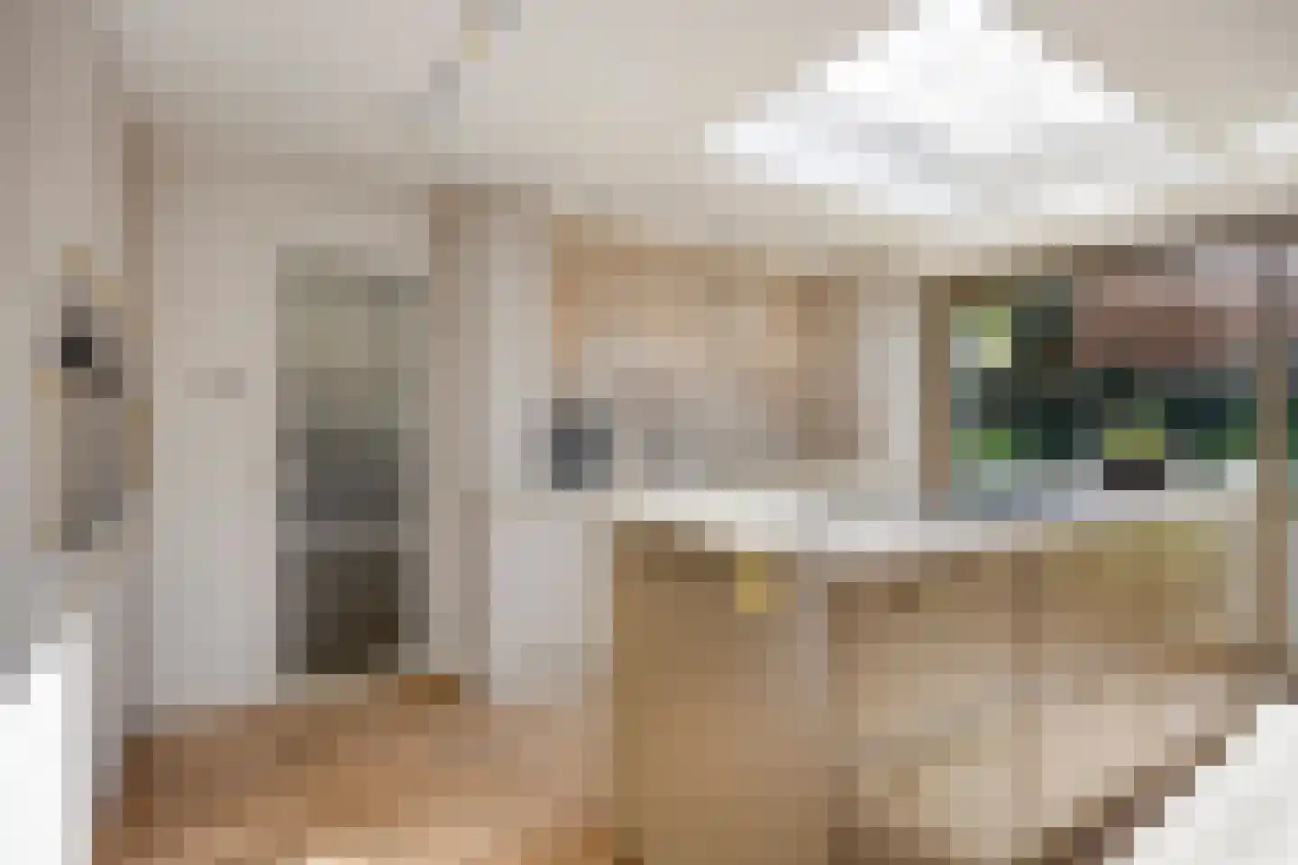Ratelaar 1 Barendrecht thumbnail 13