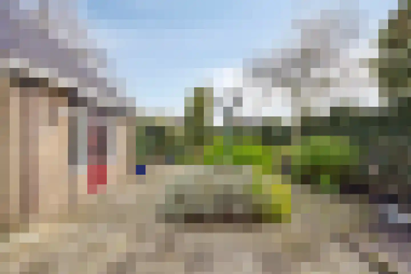 Ratelaar 1 Barendrecht thumbnail 40