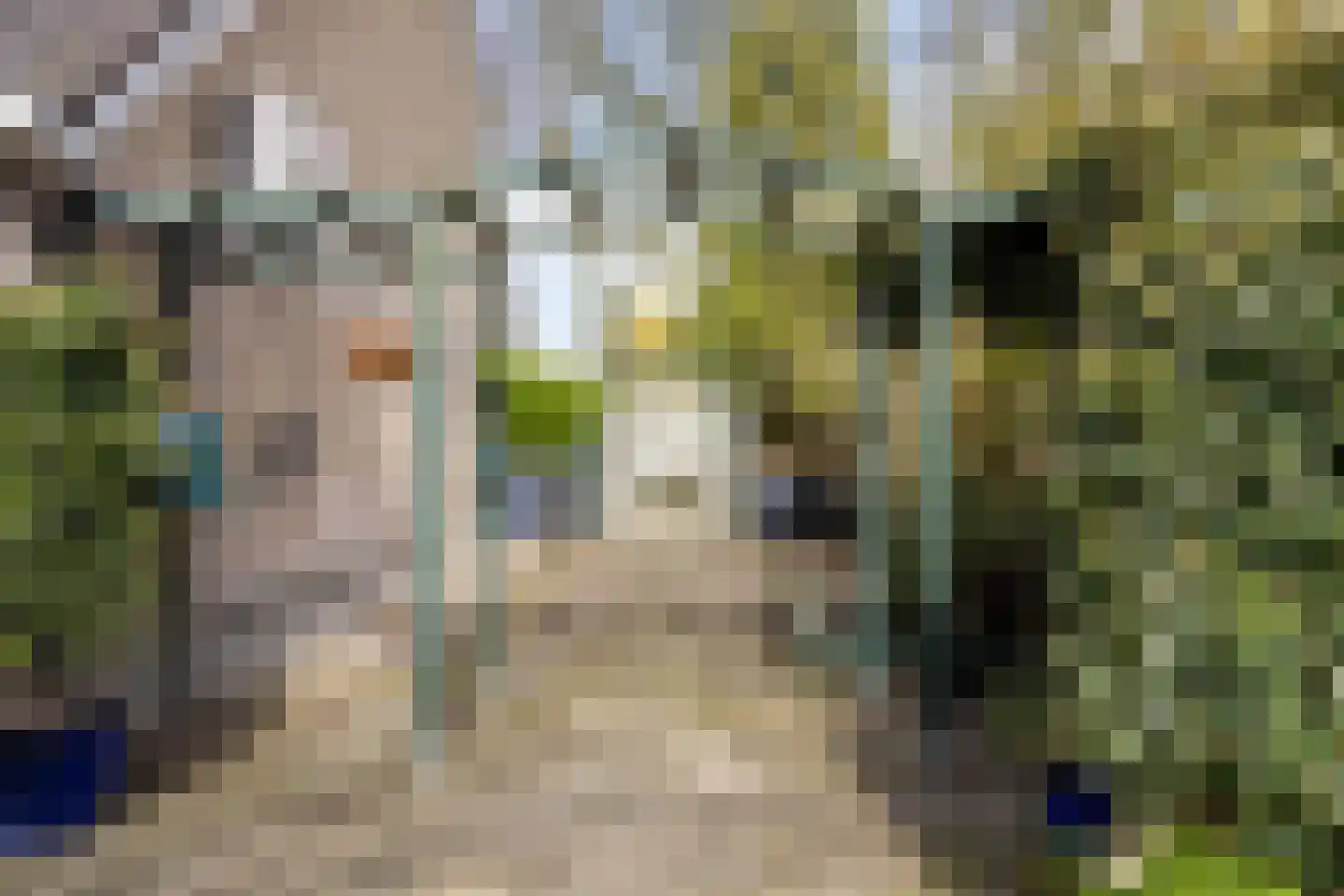 Ratelaar 1 Barendrecht thumbnail 41