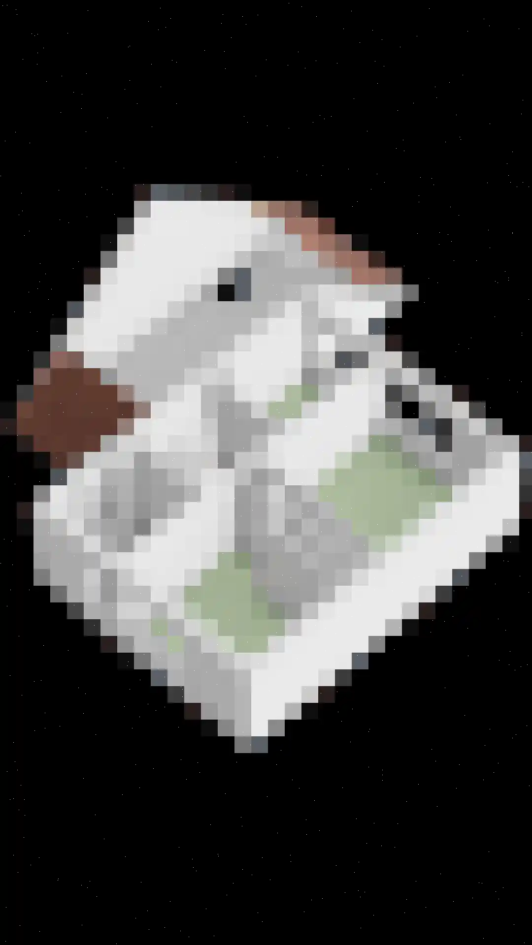 Ratelaar 1 Barendrecht thumbnail 51