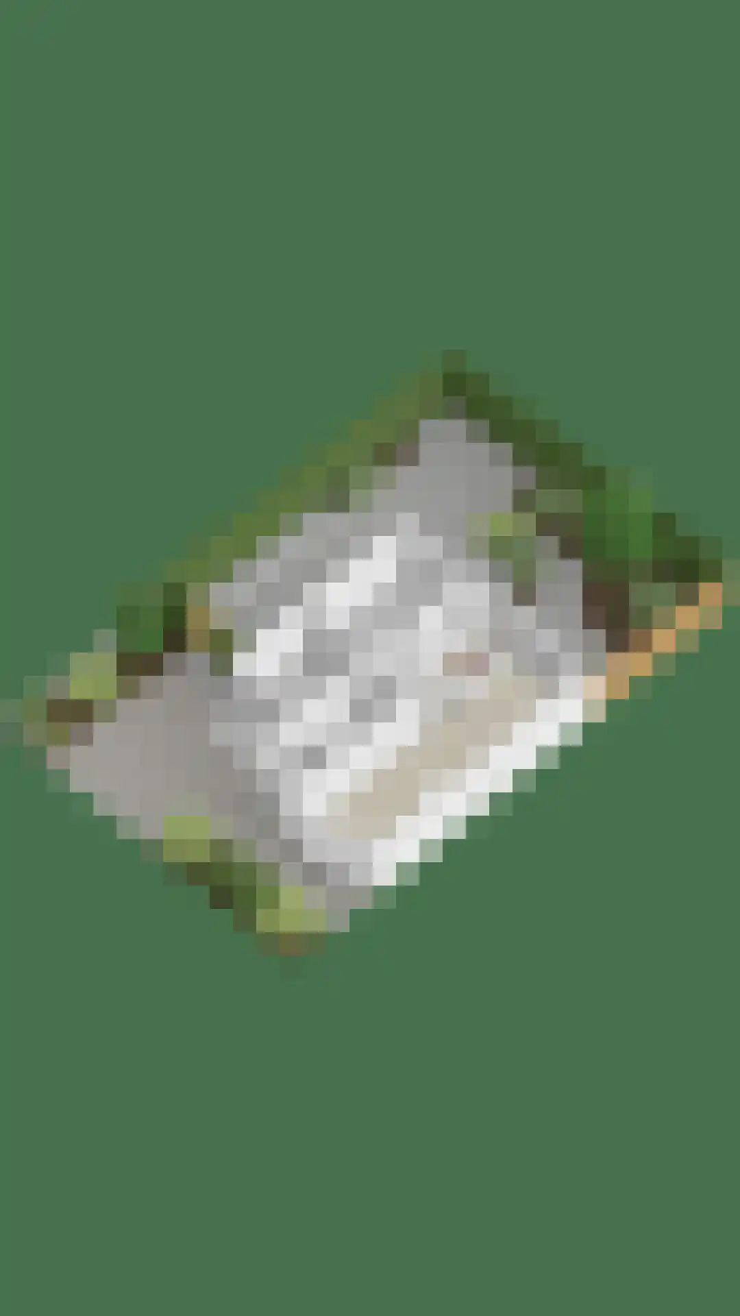 Ratelaar 1 Barendrecht thumbnail 53