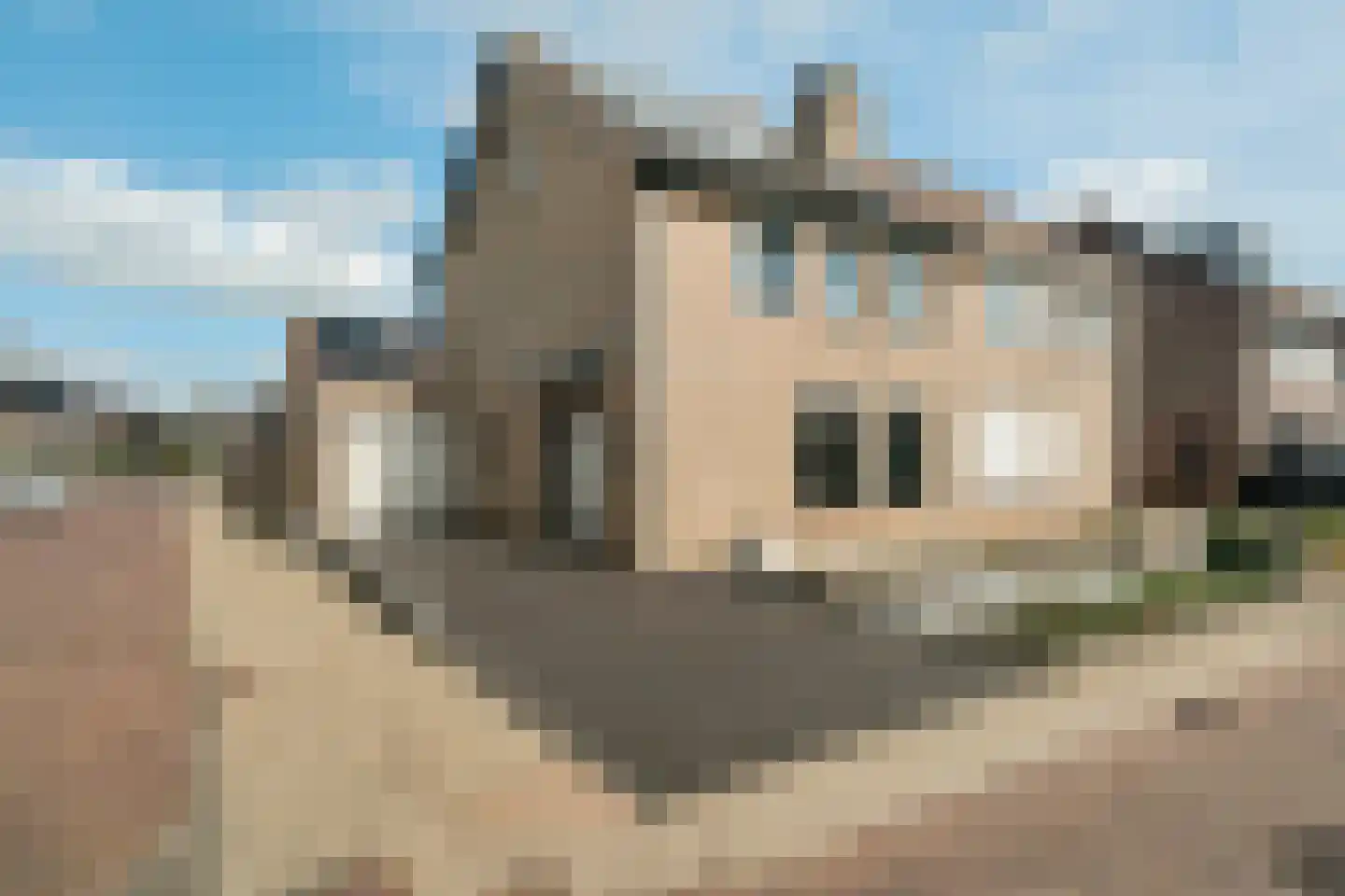 Ratelaar 1 Genemuiden
