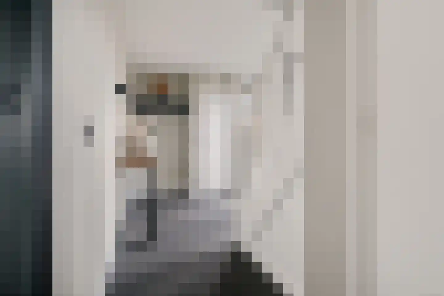 Ratelaar 1 Genemuiden thumbnail 12