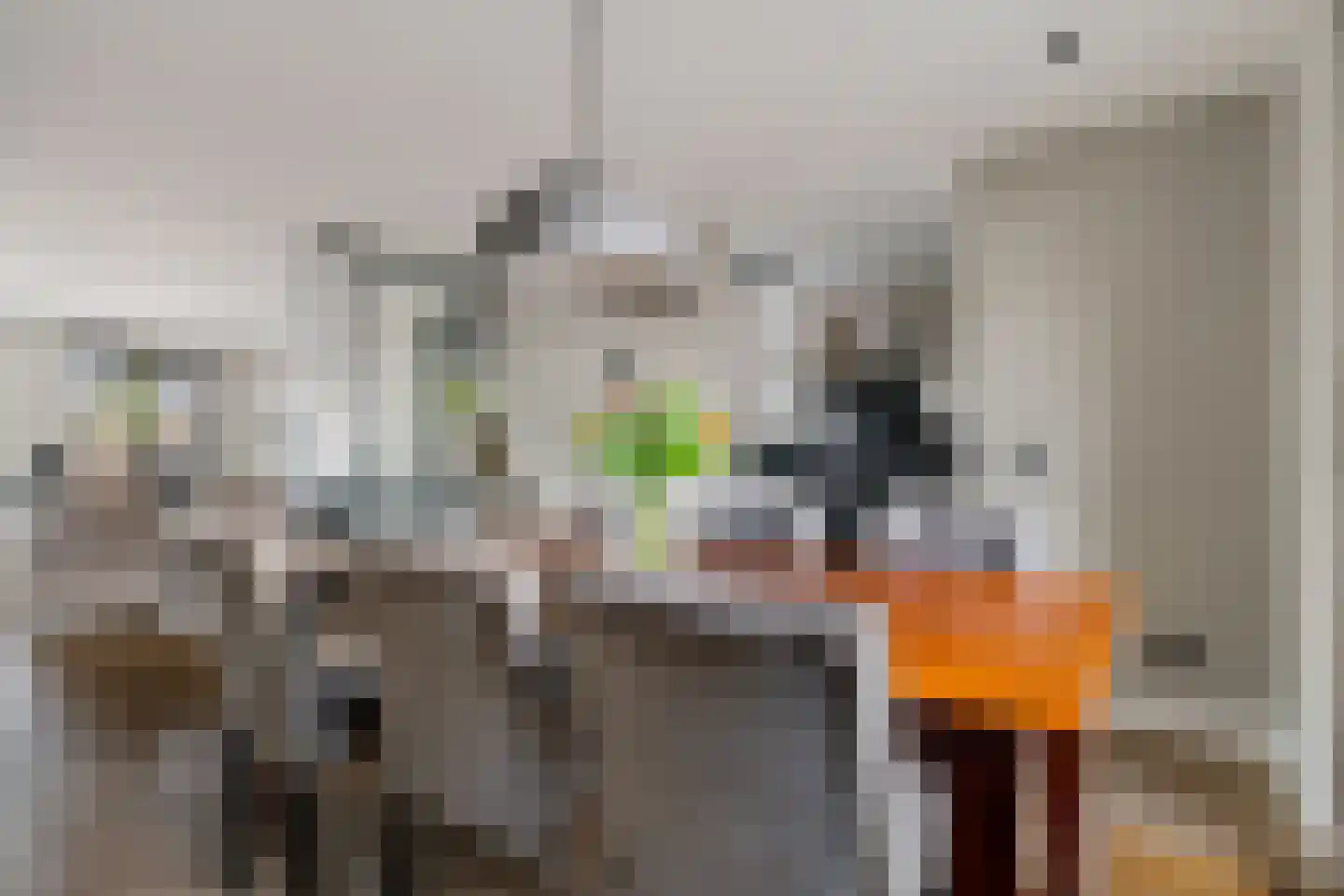 Ratelaar 1 Genemuiden thumbnail 17