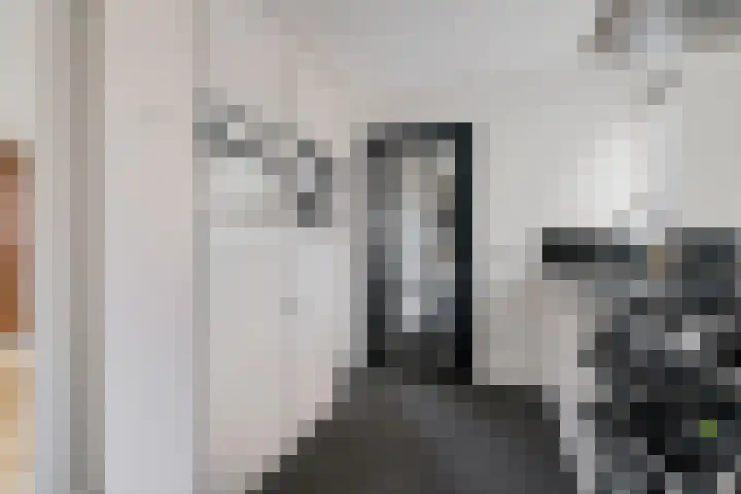 Ratelaar 1 Genemuiden thumbnail 21