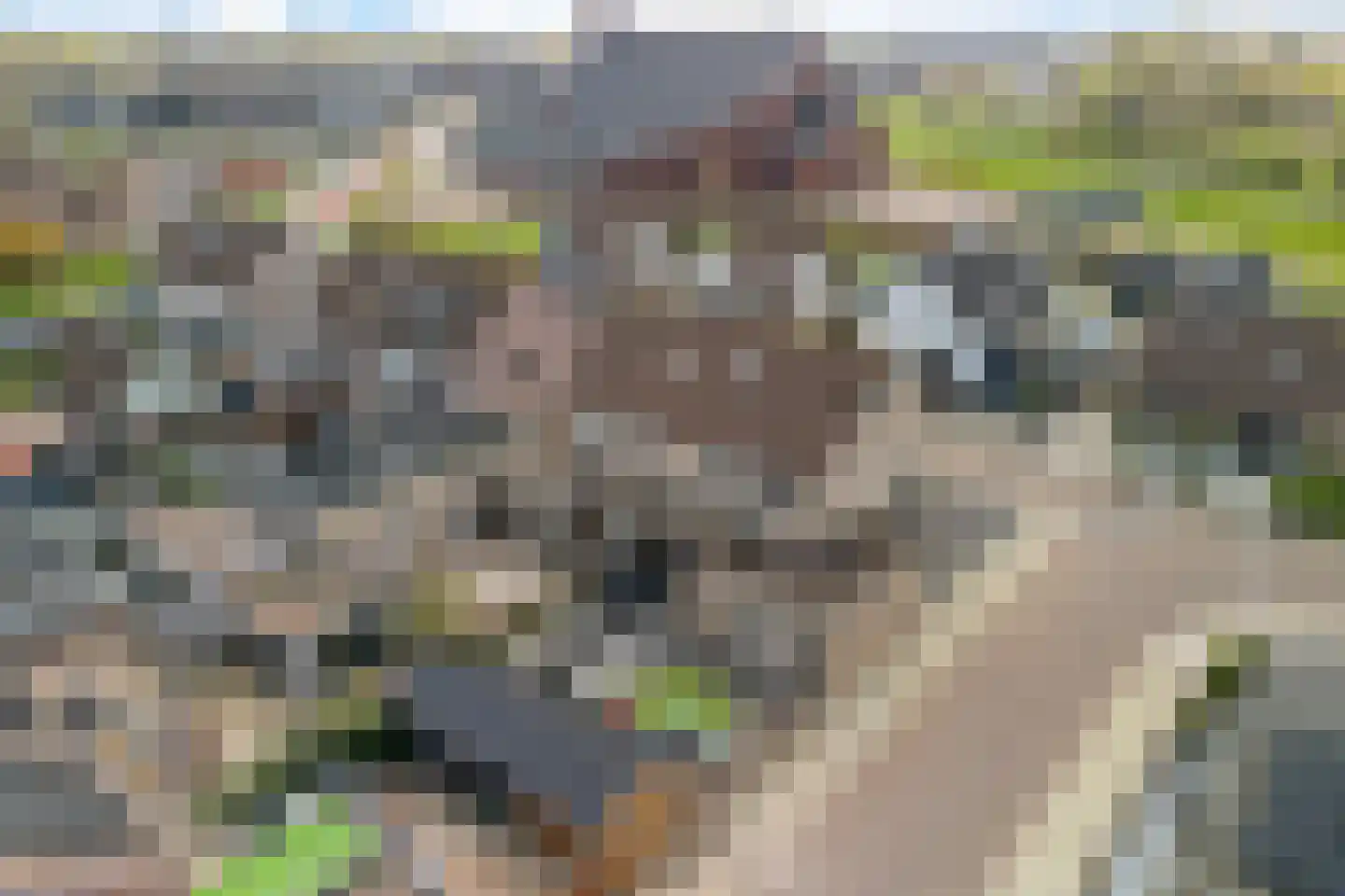 Ratelaar 1 Genemuiden thumbnail 25