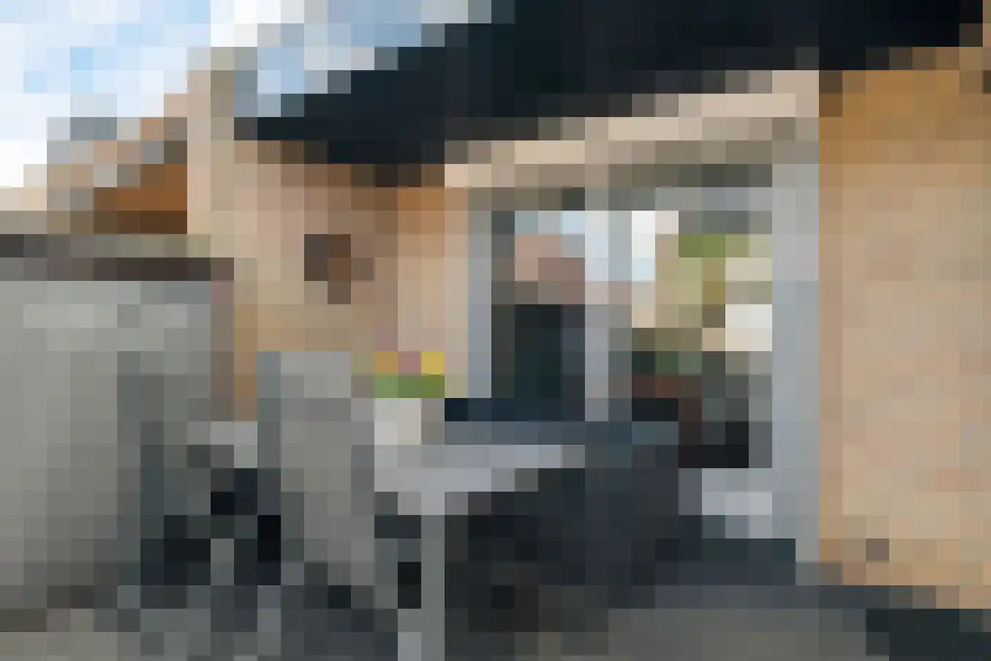 Ratelaar 1 Genemuiden thumbnail 27