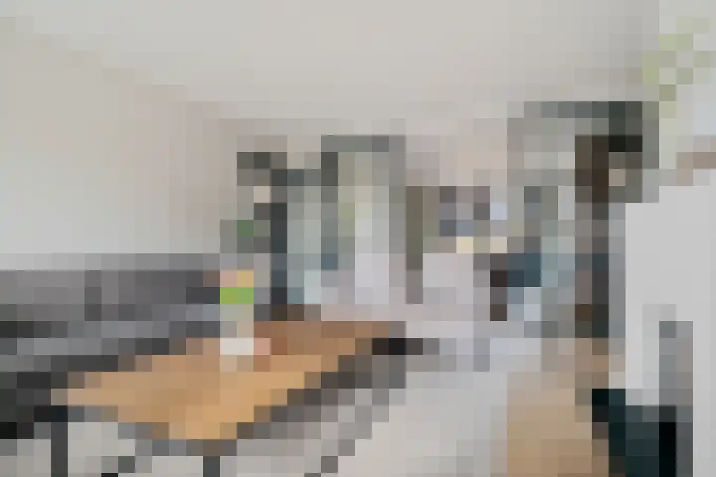 Ratelaar 1 Genemuiden foto 3