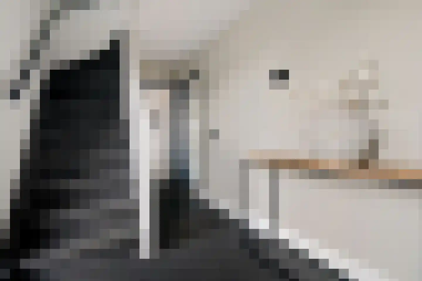 Ratelaar 1 Genemuiden thumbnail 31