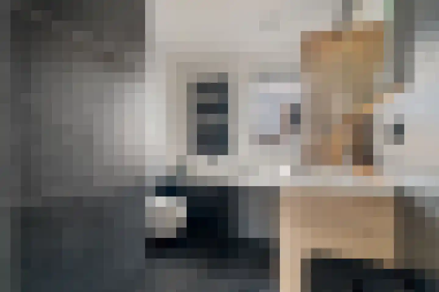 Ratelaar 1 Genemuiden thumbnail 37