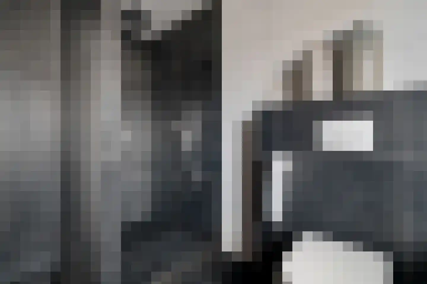 Ratelaar 1 Genemuiden thumbnail 39