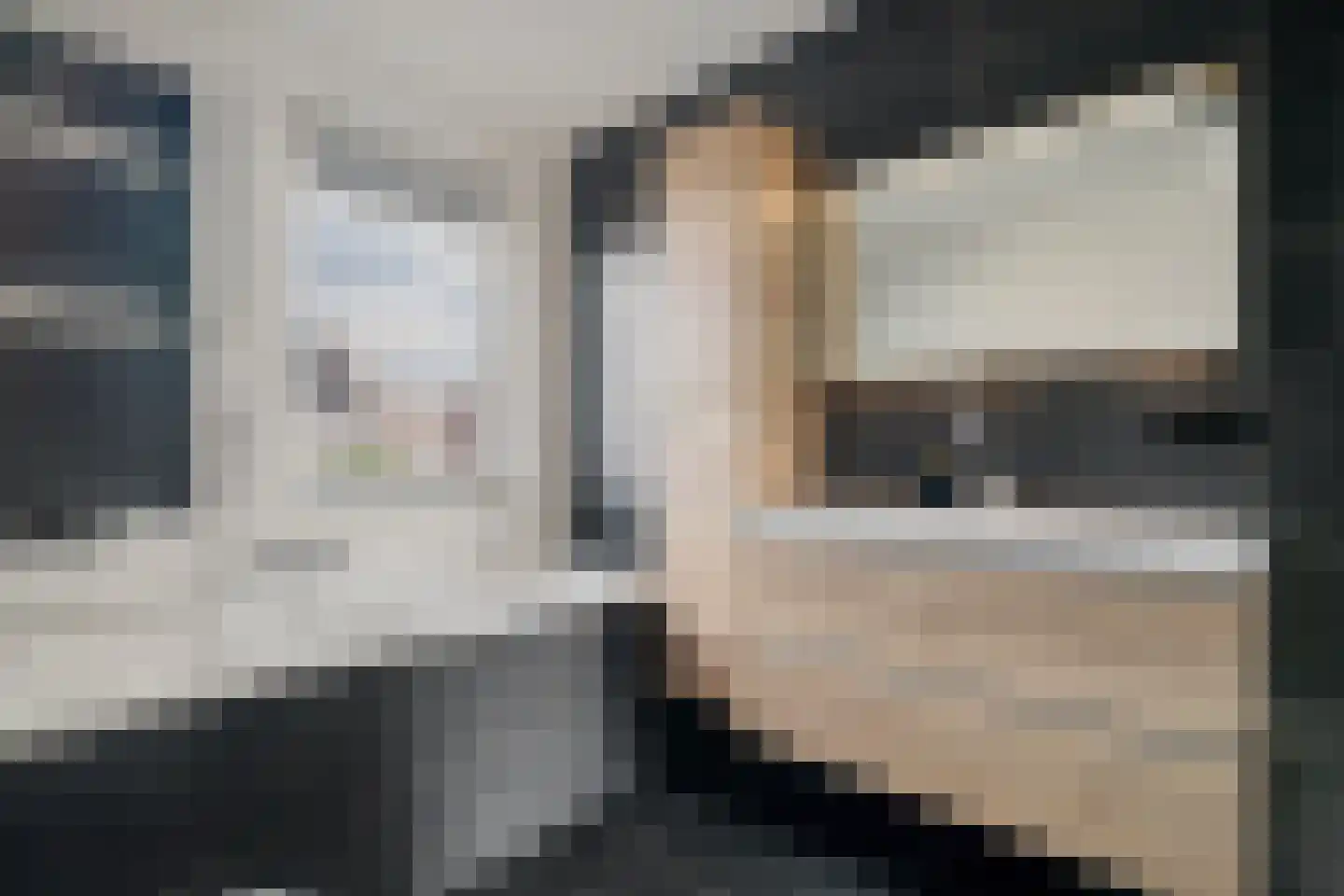 Ratelaar 1 Genemuiden thumbnail 40